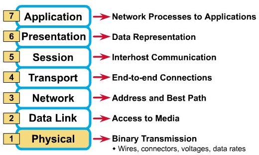 On what levels of the OSI model does the TCP/IP function?